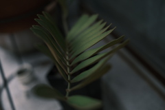 今日は京島で8時