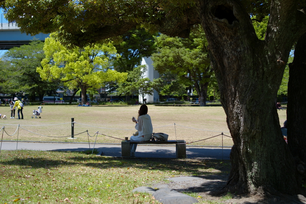 今日は隅田公園で12時