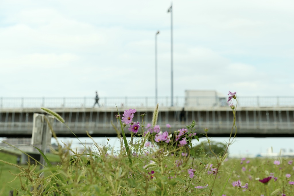 今日は荒川河川敷で1時