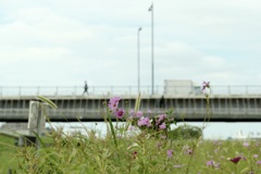 今日は荒川河川敷で1時