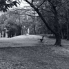 今日は猿江恩賜公園で1時