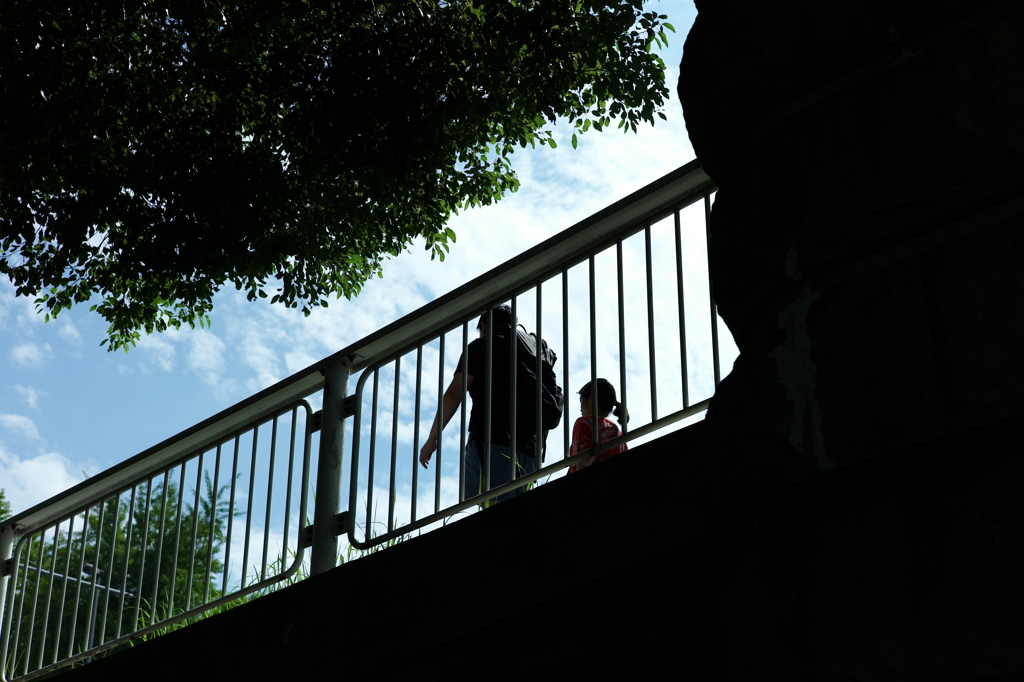 今日は隅田公園で11時