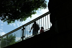 今日は隅田公園で11時