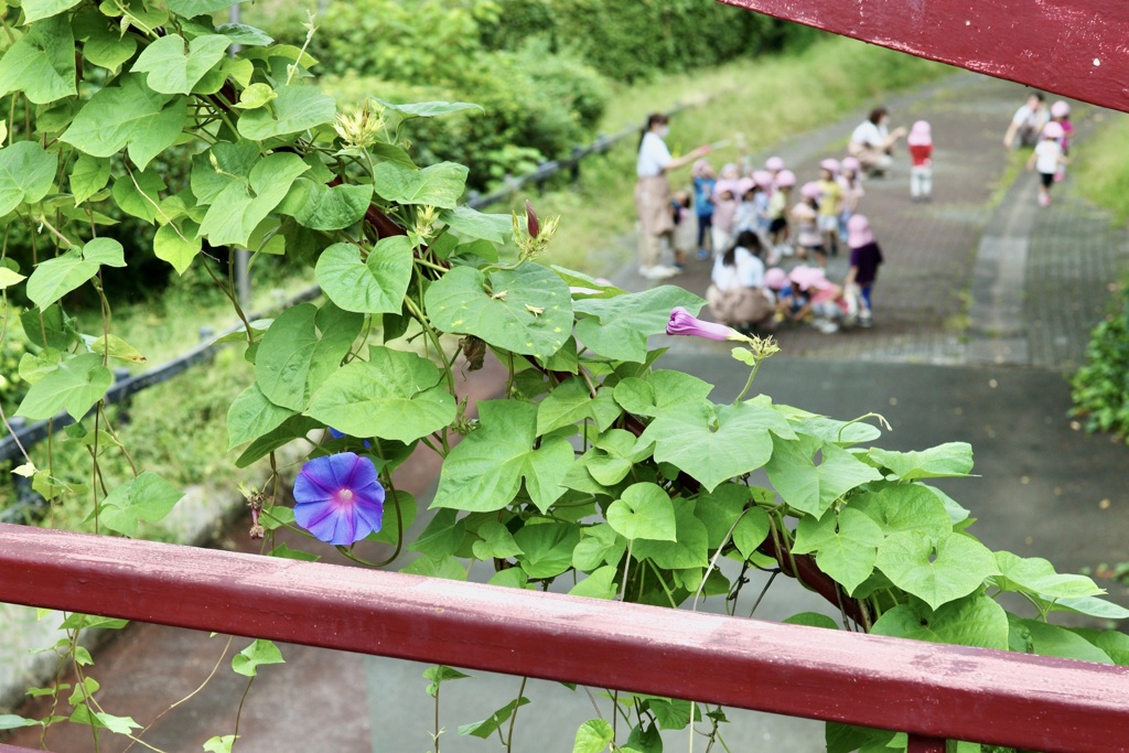今日は門前仲町で10時