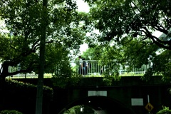 今日は向島で12時