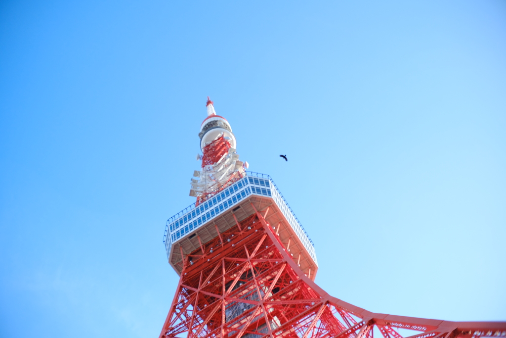 今日は芝で４時