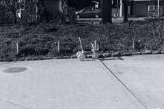 今日は花川戸で12時