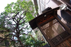 今日は小舟町で10時③