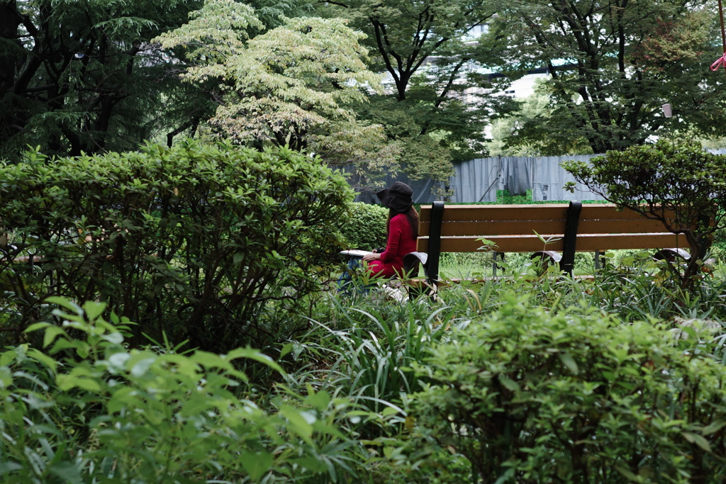 今日は日比谷公園で12時