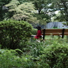 今日は日比谷公園で12時
