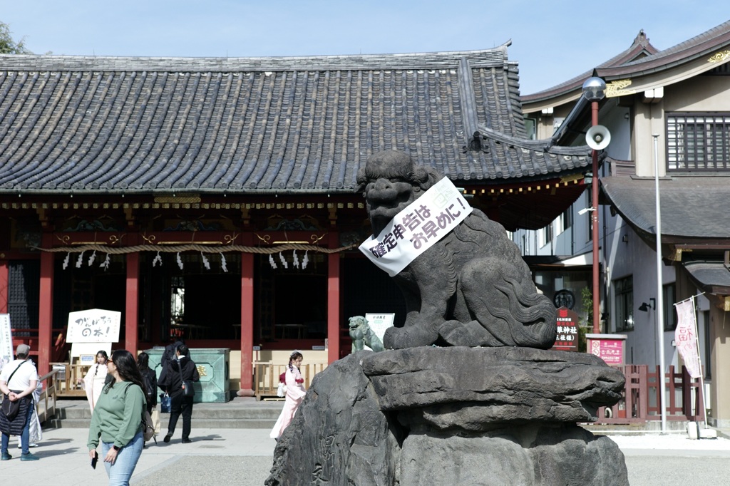 今日は浅草で12時