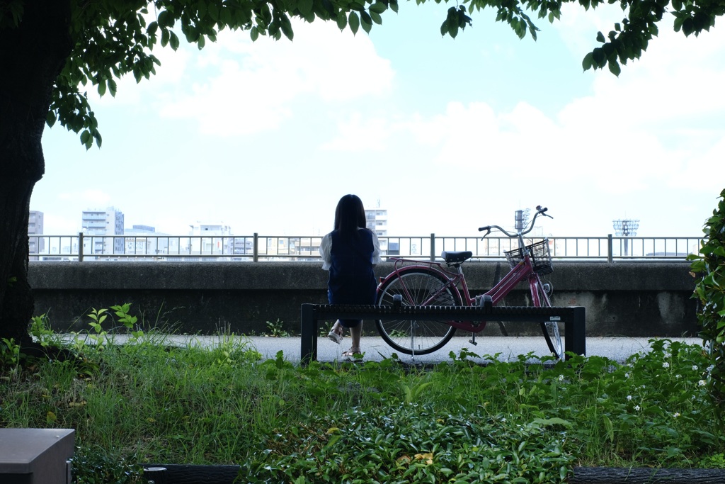 今日は向島で11時