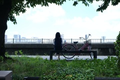 今日は向島で11時