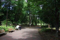 今日は清澄公園で10時