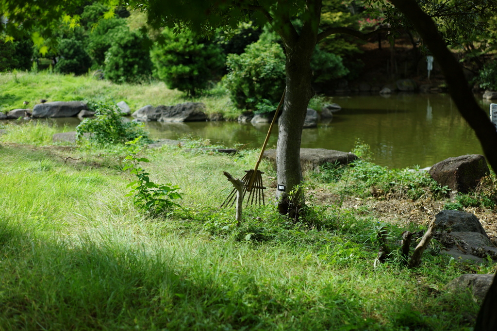 今日は隅田公園で12時