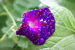 今日は大島で10時 今日は大島で10時