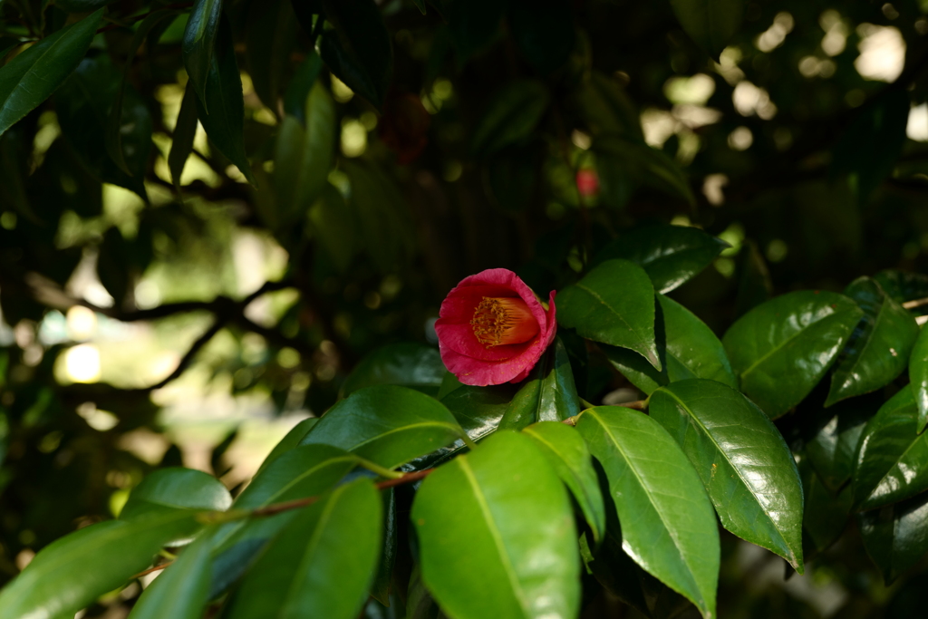 今日は砂町で9時