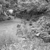 今日は葛西臨海公園で10時