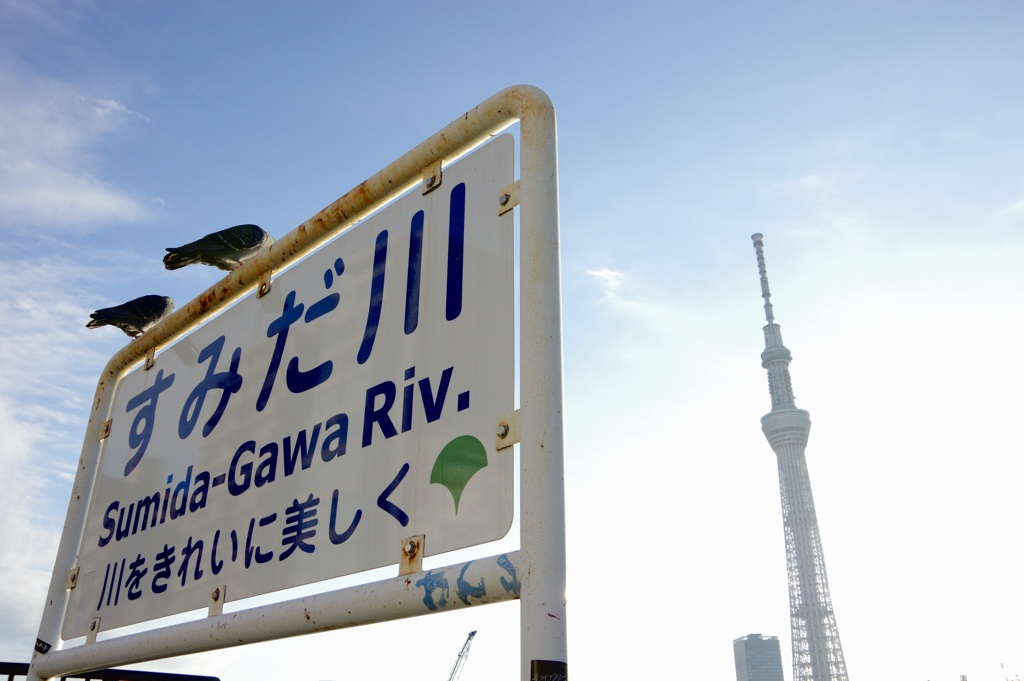 今日は隅田川で7時