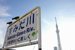 今日は隅田川で7時