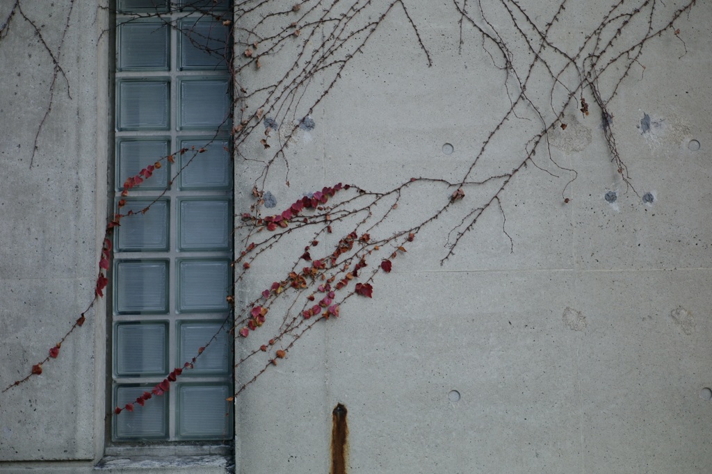 今日は吾妻橋で11時