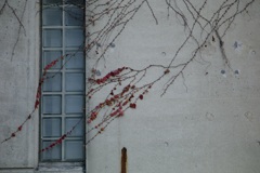 今日は吾妻橋で11時