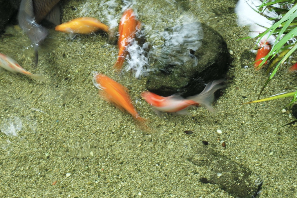 今日は余丁町で10時