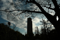 今日は猿江恩賜公園で8時
