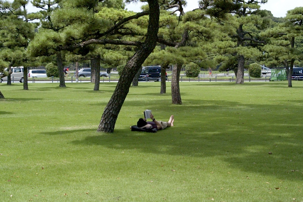今日は皇居外苑で11時