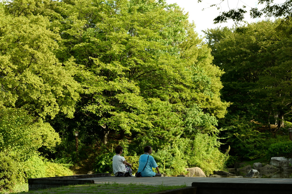 今日は猿江恩賜公園で7時