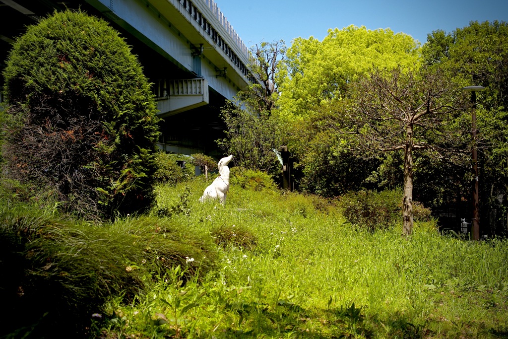 今日は隅田公園で1時