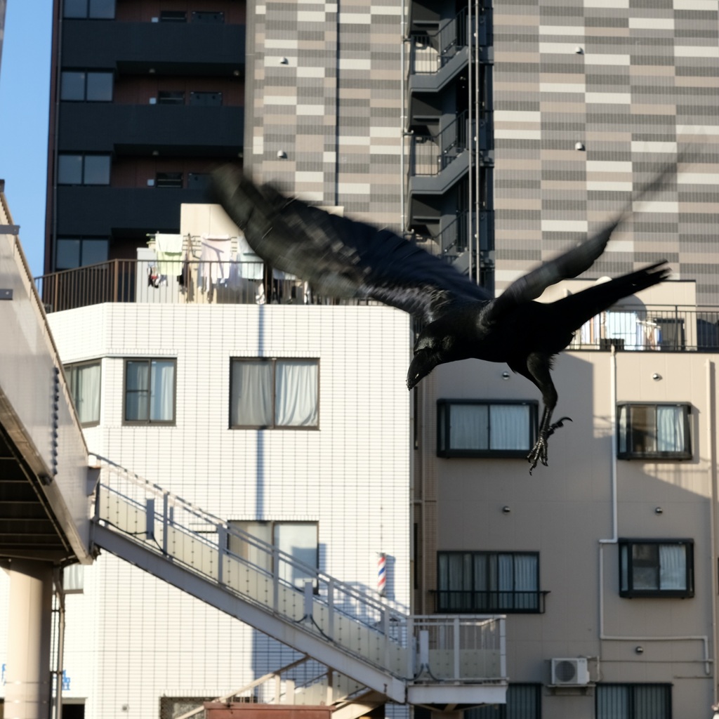 今日は亀戸で3時