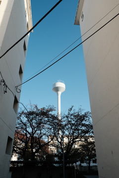 今日は大島で8時