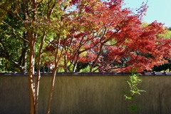 今日は木場公園で10時①