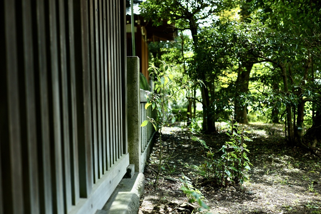  今日は牛島神社で12時