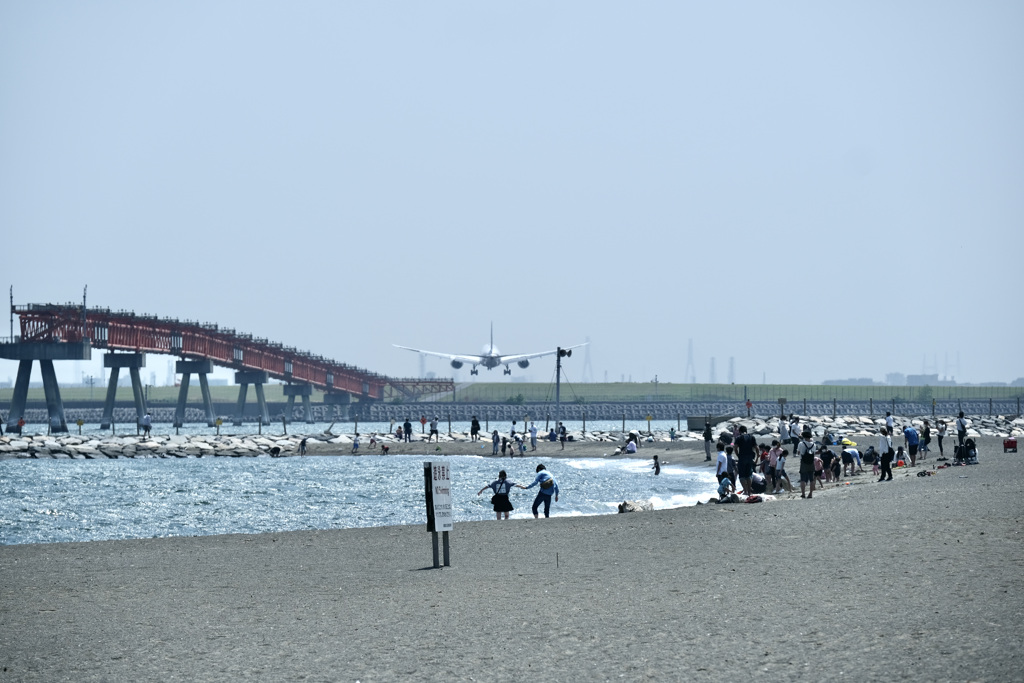 今日は城南島で1時