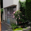 今日は八広で11時