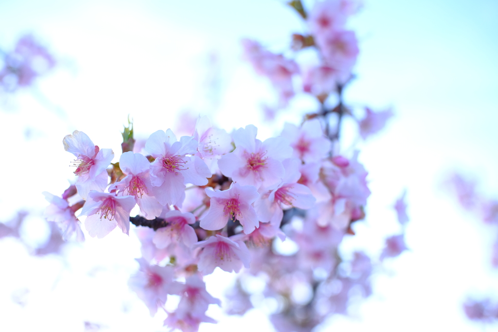 今日は芝で４時