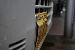 今日は大島で8時