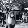 今日は三囲神社で12時