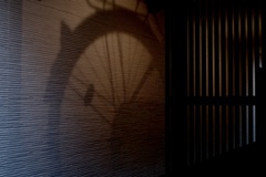 今日は大島で4時