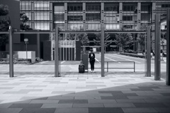 今日は丸の内で11時