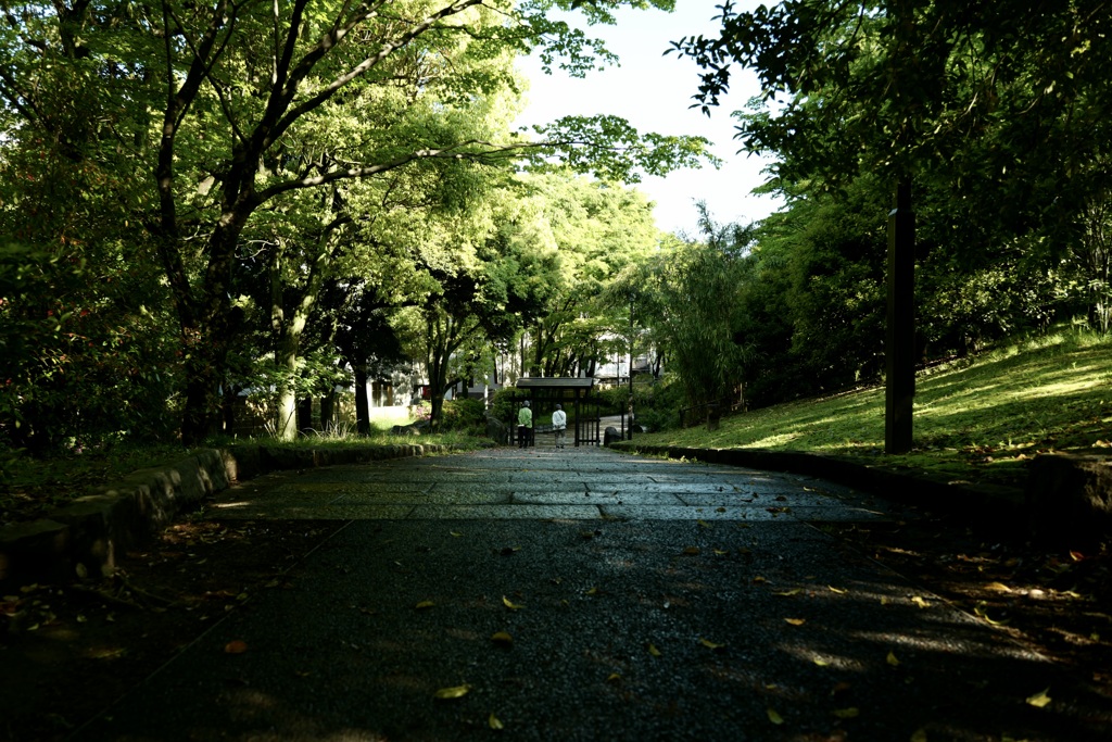 今日は猿江恩賜公園で8時①