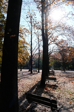今日は猿江恩賜公園で10時