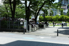 今日は池袋で12時①