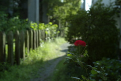 今日は亀戸水神で4時