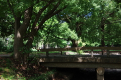 今日は清澄公園で10時