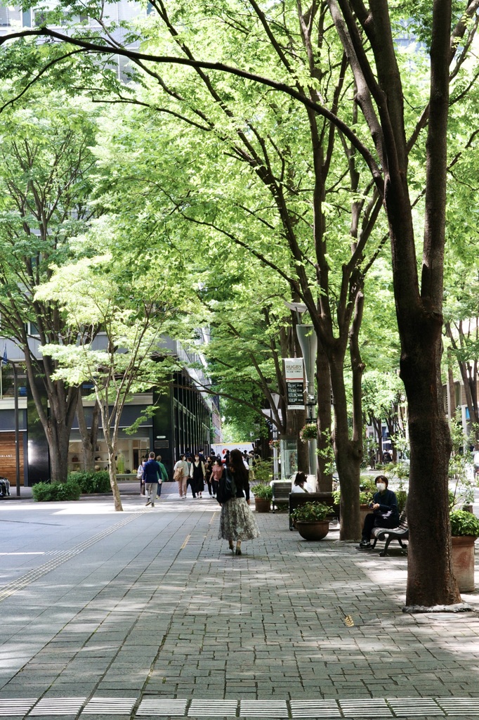 今日は丸の内で12時