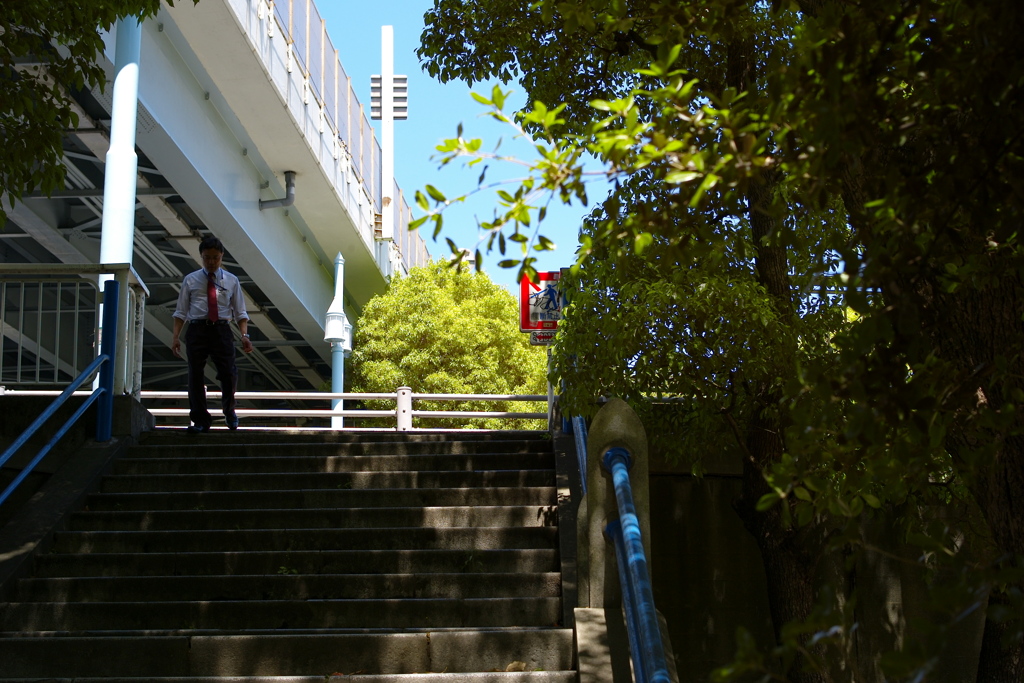 今日は向島で12時