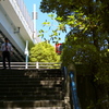 今日は向島で12時